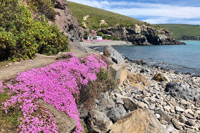 Lyttelton Shore Excursion - Guided Walking Tour and Picnic - How hard is the walk?