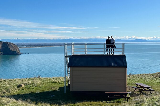 Lyttelton Shore Excursion - Guided Walking Tour and Picnic - Group size, guides, and port-day timing