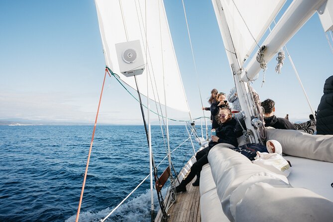 Maori Rock Carvings Eco Sailing Taupo - Choosing between morning, afternoon, and evening