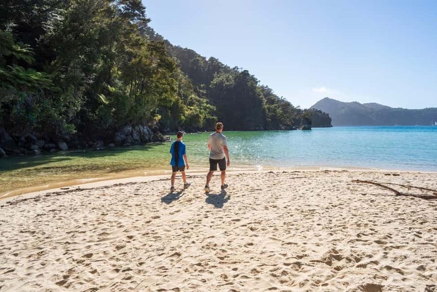 Marahau: Abel Tasman Kayaks Kayak and Walk - Twelve golden beaches and the Astrolabe Islands