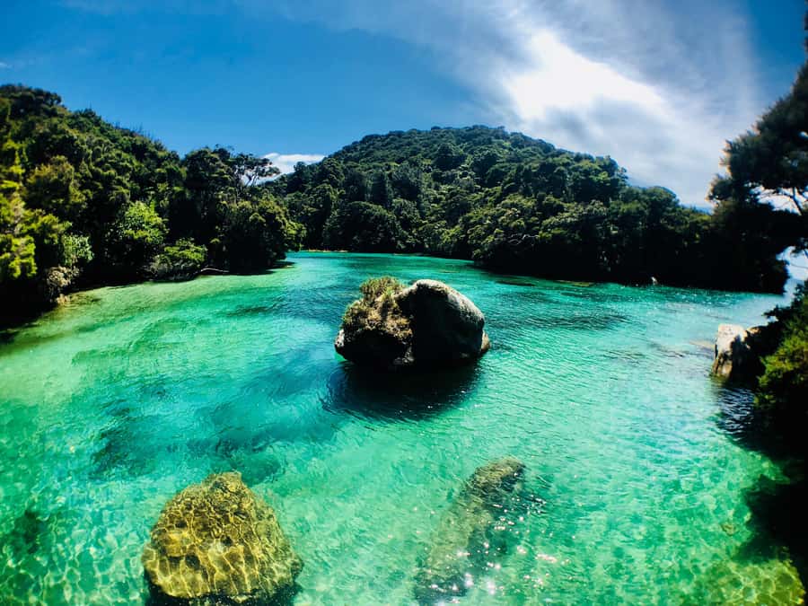 Mārahau: Abel Tasman Marine Reserve Kayak Tour - Key points to know before you paddle