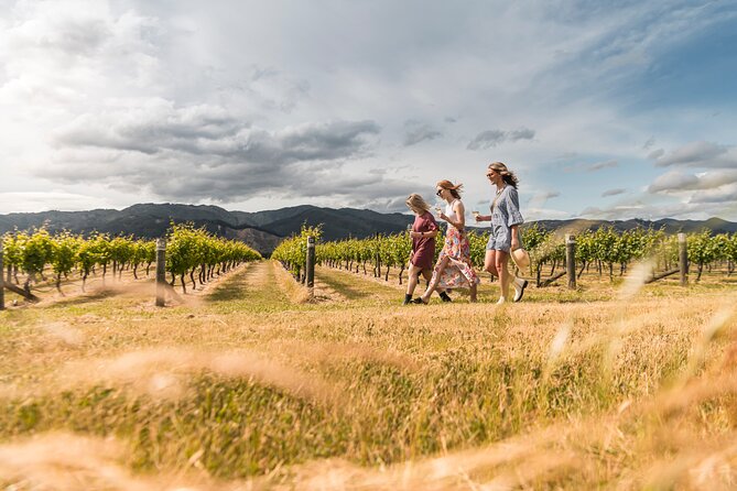 Marlborough Afternoon Wine Tour with Tastings - The 12:30 pm meeting and country-road transition
