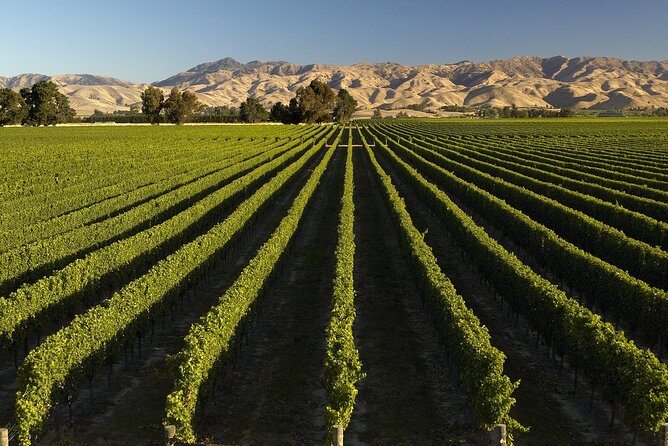 Marlborough Afternoon Wine Tour with Tastings - Three wineries, three different moods