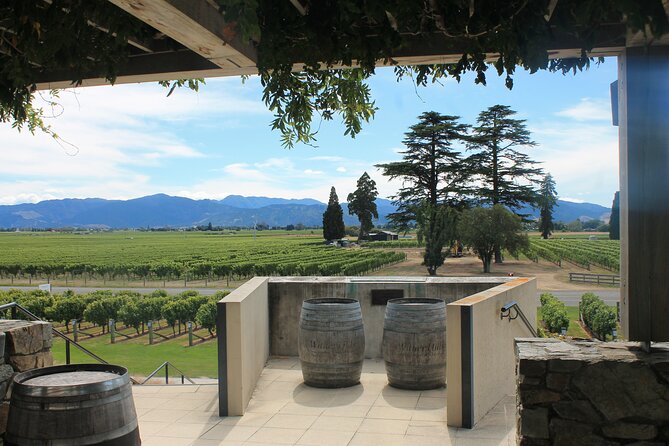 Marlborough Classic Wine Tasting Tour. - The cruise-ship plan from Picton