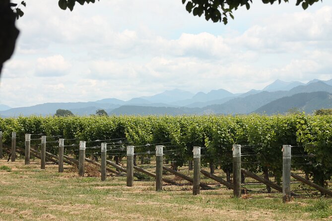 Marlborough Classic Wine Tasting Tour. - What the praise points to