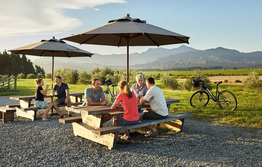 Marlborough: Full-Day Self-Guided Biking Wine Tour - Key points to know before you pedal away
