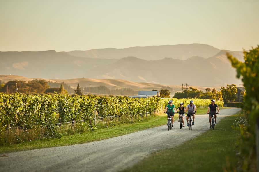 Marlborough: Full-Day Self-Guided Biking Wine Tour - Cycling between the cellar doors