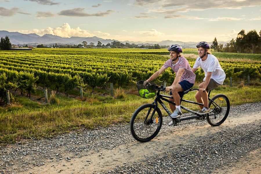 Marlborough: Full-Day Self-Guided Biking Wine Tour - What happens with your wine purchases