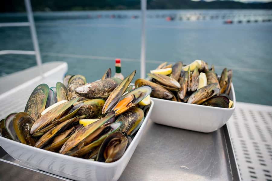 Marlborough: Full-Day Wine and Seafood Tour with Cruise - Key points to know before booking