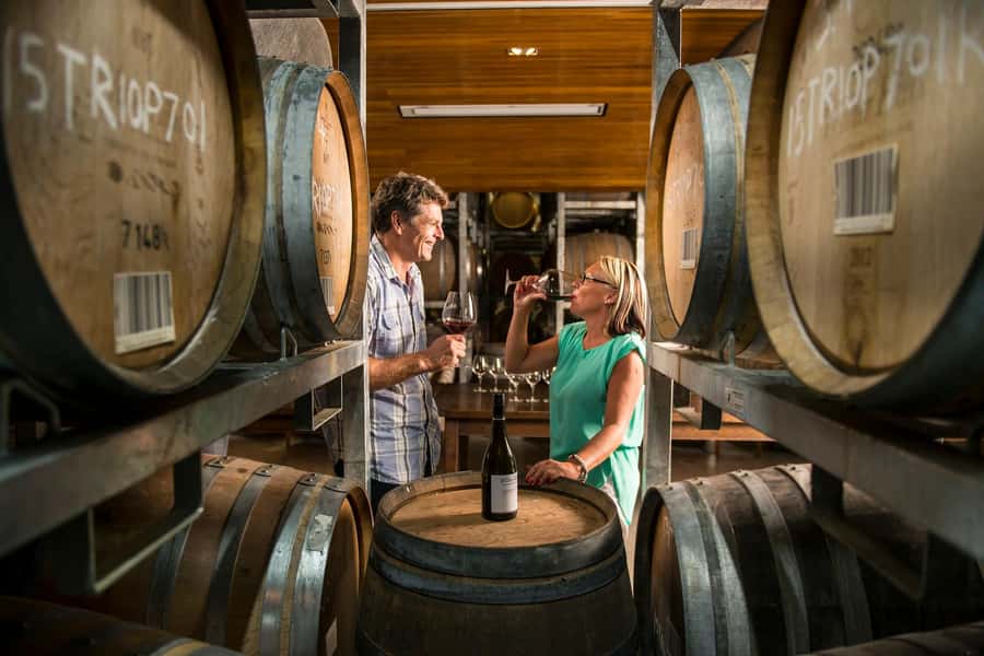 Marlborough: Full-Day Wine and Seafood Tour with Cruise - Mussels, salmon, and the marine-farming story