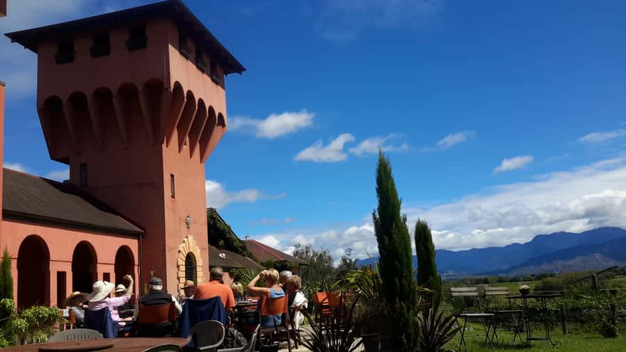Marlborough Full Day Wine Tour - Walking among the vines