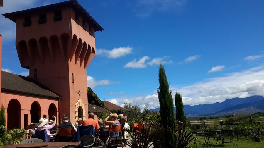 Marlborough Full Day Wine Tour - The possible Makana chocolate finale