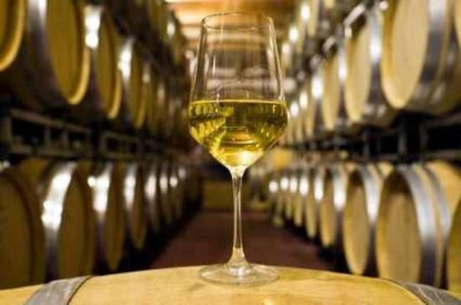 Marlborough Full Day Wine Tour - What the $131 price really covers