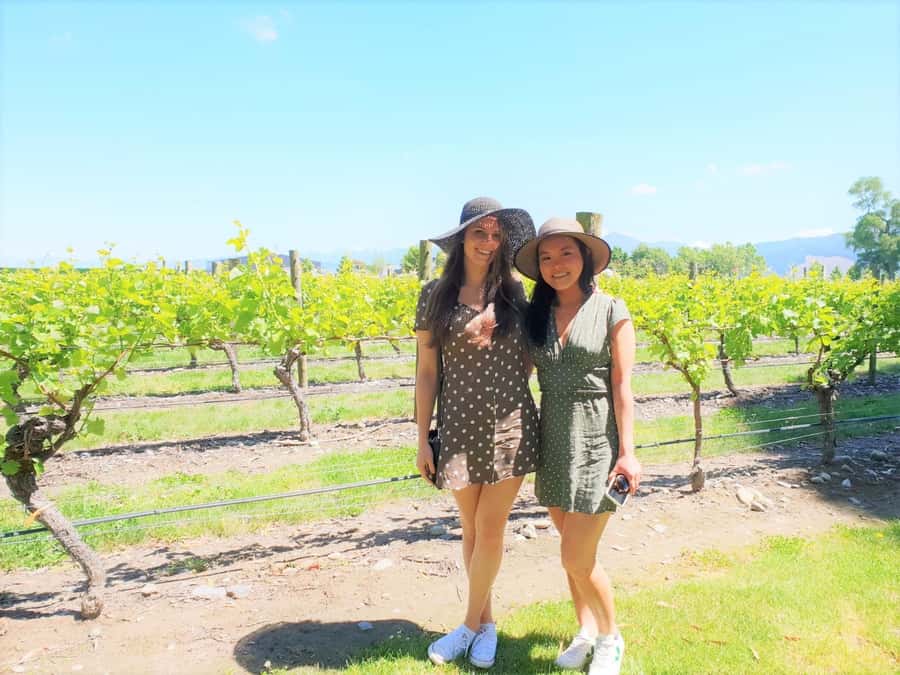 Marlborough: Full Day "Winemaker's Tour" - Why This Marlborough Day Works