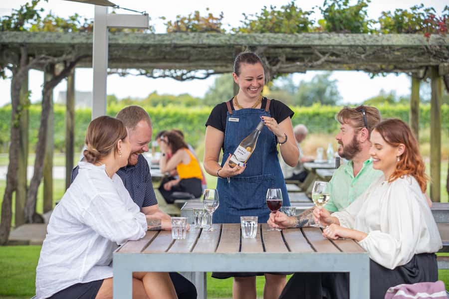 Marlborough: Full Day "Winemaker's Tour" - The Long Vineyard Lunch and Tasting