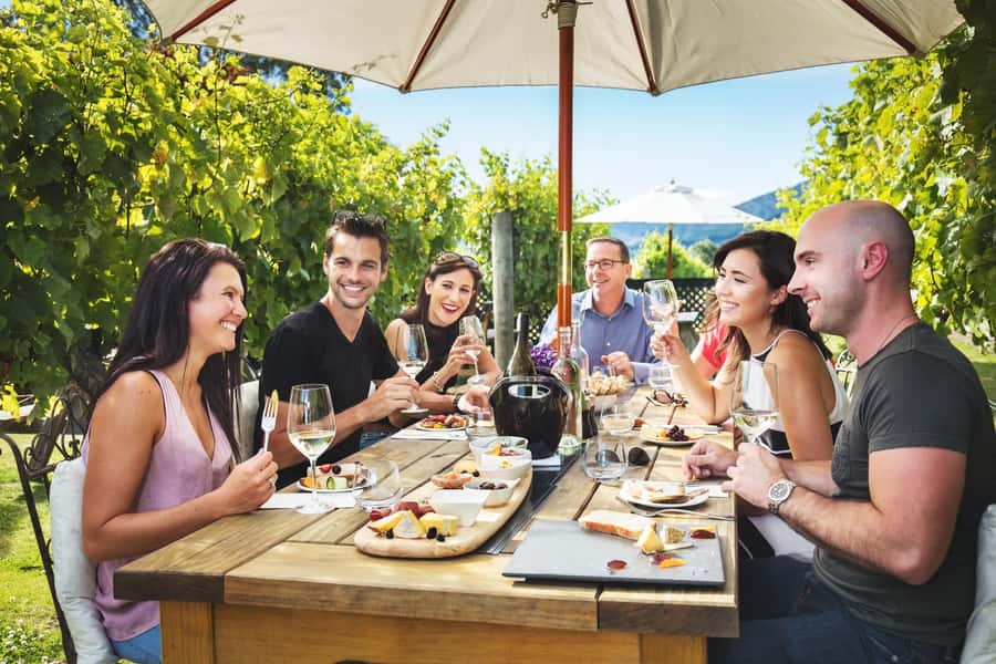 Marlborough: Full Day "Winemaker's Tour" - First Stop: A Full Hour of Wine Tasting