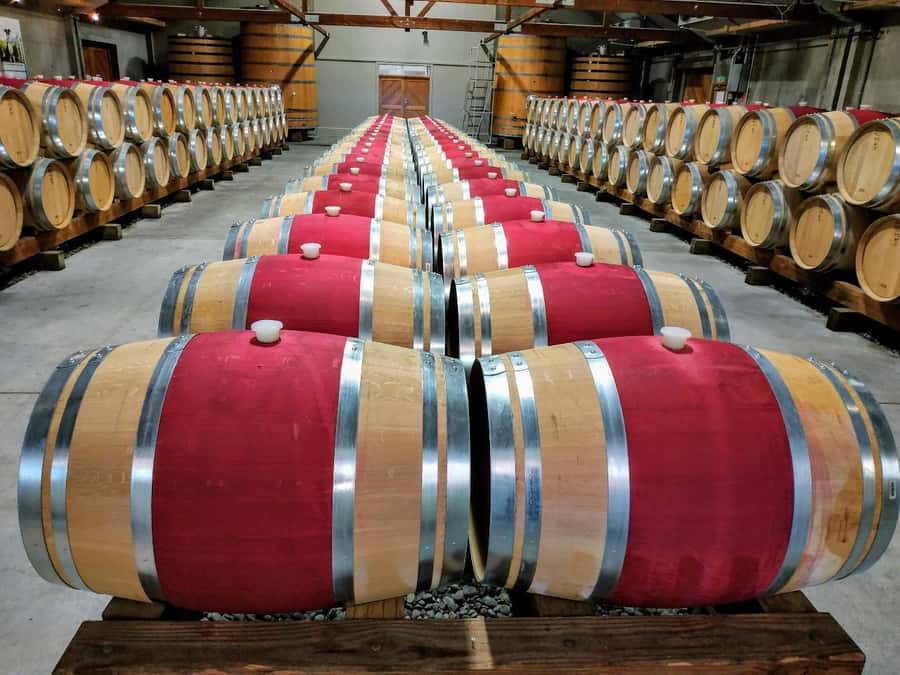 Marlborough: Half Day Blenheim Wine Tour - Eating & Sipping - The vineyard restaurant: lunch, views, and the first tasting