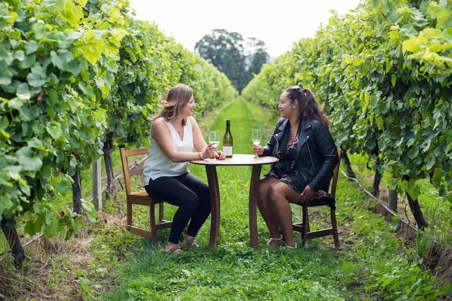 Marlborough Half Day Wine Tour From Picton - Key points at a glance