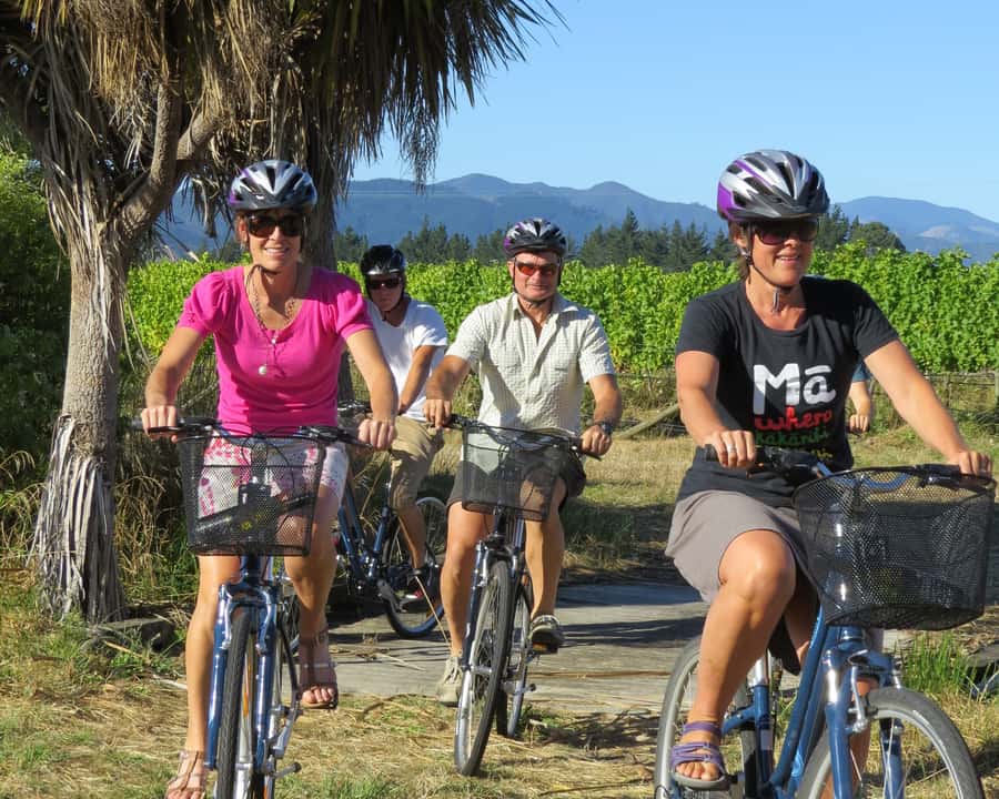 Marlborough: Half Guided and Half Self-Guided Bike Wine Tour - Key points to know before you book