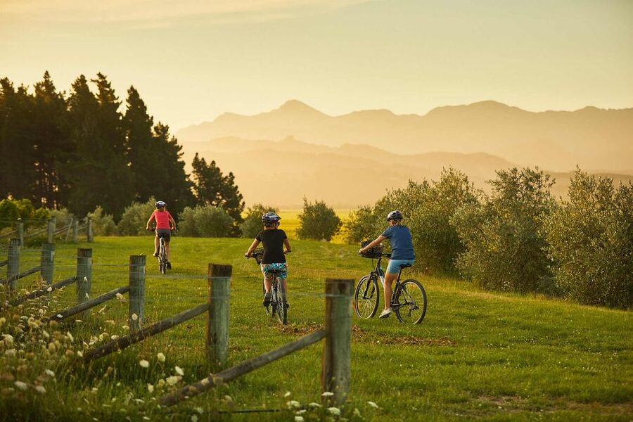Marlborough: Half Guided and Half Self-Guided Bike Wine Tour - Who should book this Marlborough ride?