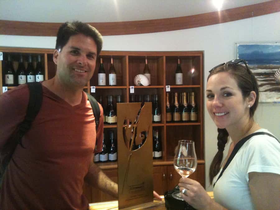 Marlborough: Half Guided and Half Self-Guided Bike Wine Tour - Should you book it?
