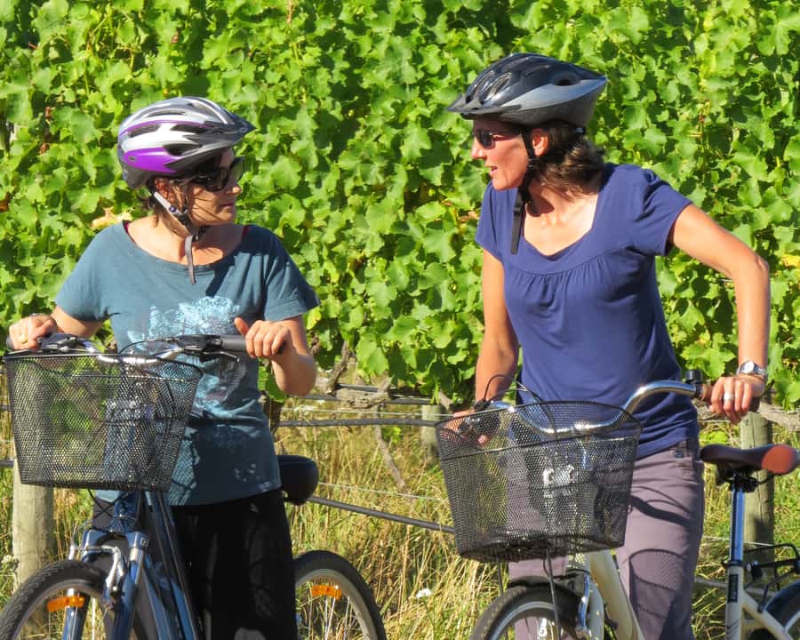 Marlborough: Half Guided and Half Self-Guided Bike Wine Tour - The 9:15 AM pickup and first ride