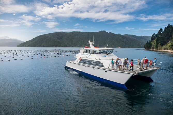 Marlborough Icons Tour - Wine tasting + Cruise - The group size changes after lunch