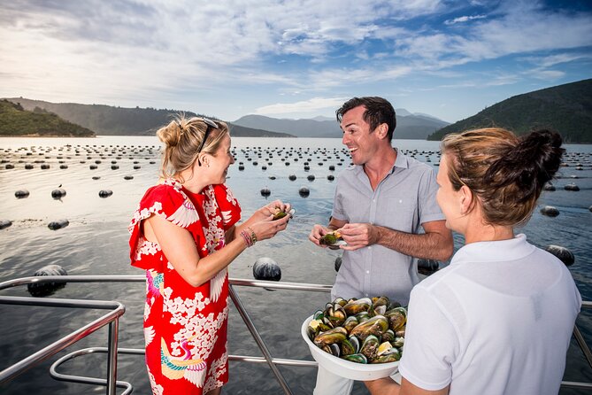 Marlborough Icons Tour - Wine tasting + Cruise - Is $198.58 good value?