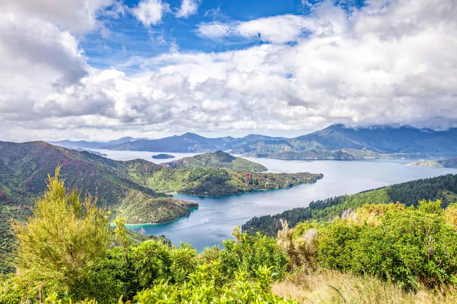 Marlborough Sounds and Ship Cove Cruise from Picton - Leaving Picton for Queen Charlotte Sound