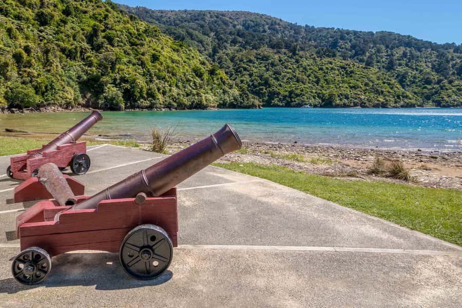 Marlborough Sounds and Ship Cove Cruise from Picton - Wildlife sightings along the route