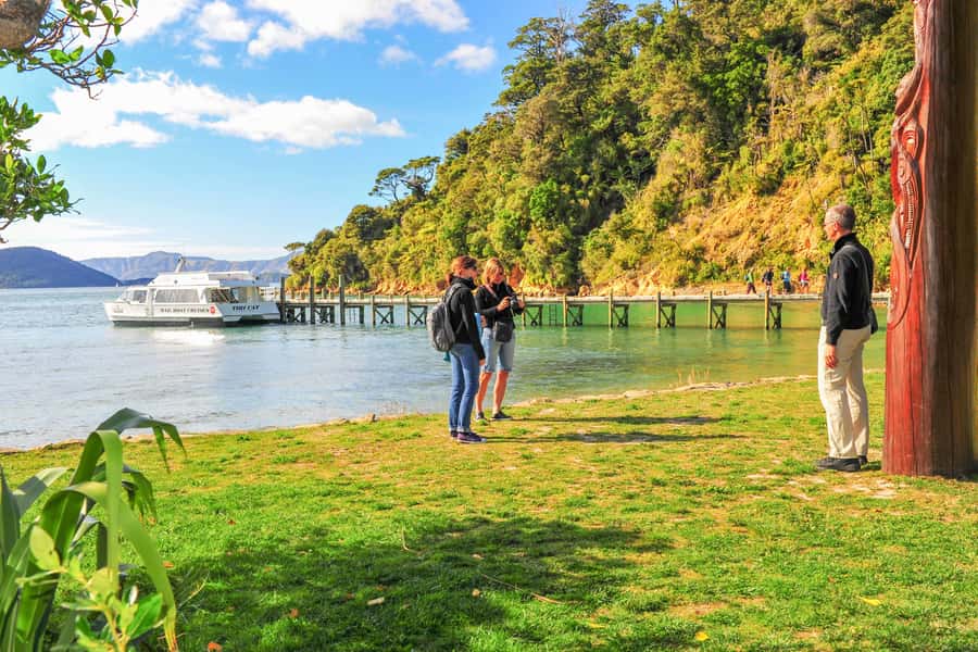 Marlborough Sounds and Ship Cove Cruise from Picton - Returning through Endeavour Inlet
