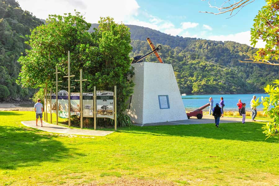 Marlborough Sounds and Ship Cove Cruise from Picton - Booking details and useful planning tips