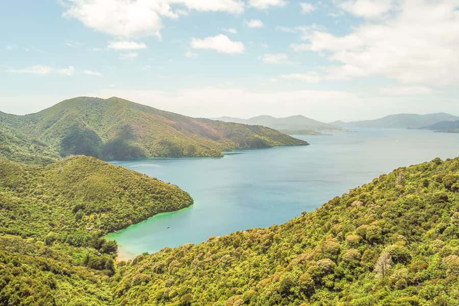 Marlborough Sounds and Ship Cove Cruise from Picton - The changing scenery of Queen Charlotte Sound