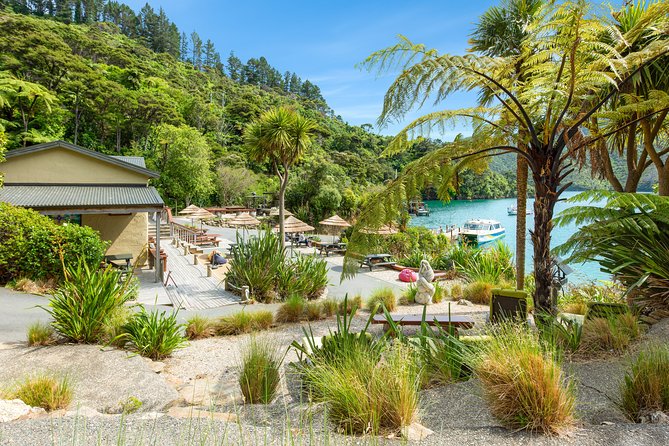 Marlborough Sounds Day Visit to Lochmara - A 20-minute crossing from Picton to the Sound