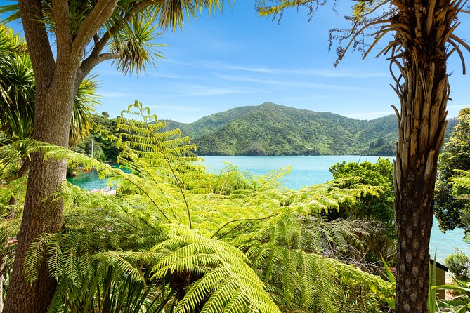 Marlborough Sounds Day Visit to Lochmara - What makes the experience special