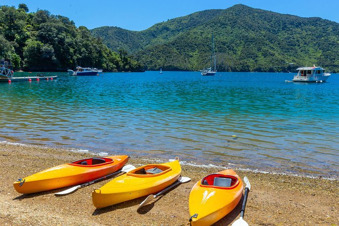Marlborough Sounds Day Visit to Lochmara - Who should book a Lochmara day visit?