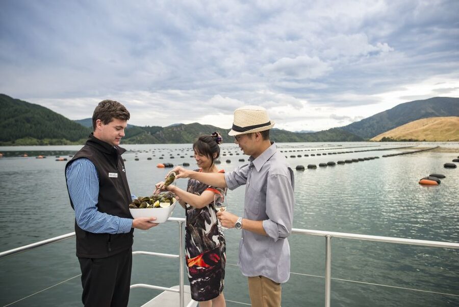 Marlborough Sounds: Greenshell Mussel Cruise - Mussels, salmon, and the onboard bar