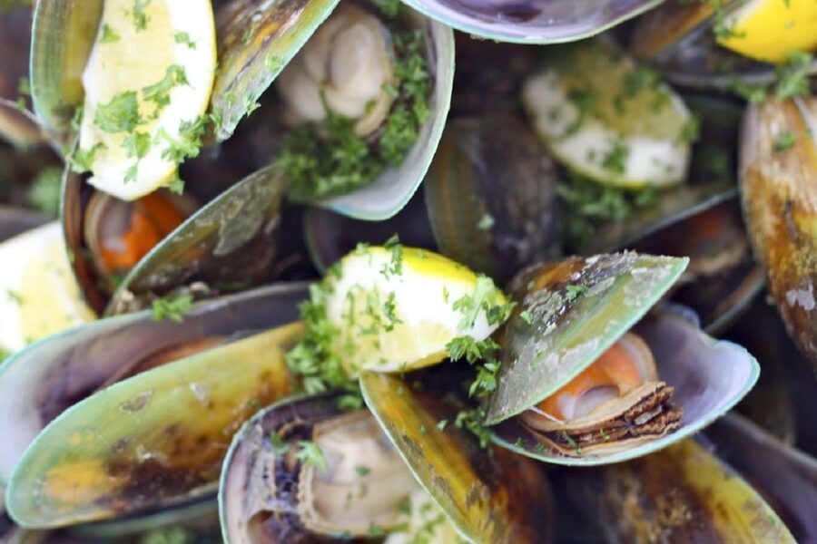 Marlborough Sounds: Greenshell Mussel Cruise - The return to Picton by 16:00