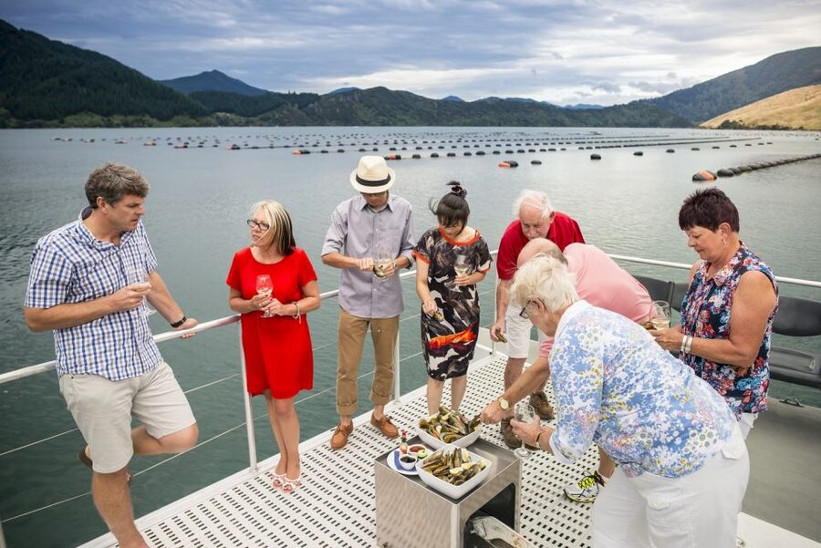 Marlborough Sounds: Greenshell Mussel Cruise - Is $107 a fair price?