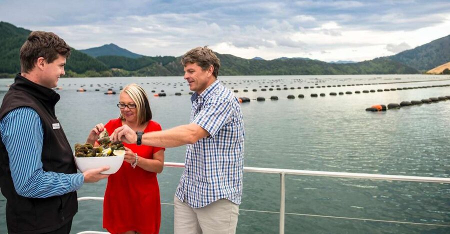 Marlborough Sounds: Greenshell Mussel Cruise - Who should book this experience?
