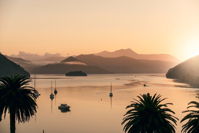 Marlborough Sounds Greenshell Mussel Tasting Cruise - Choosing the best seat onboard