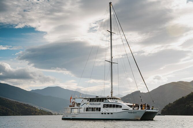 Marlborough Sounds Greenshell Mussel Tasting Cruise - Is NZ$111.70 good value?