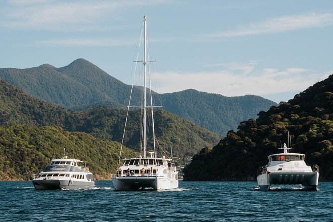 Marlborough Sounds Greenshell Mussel Tasting Cruise - Passing the mussel farm