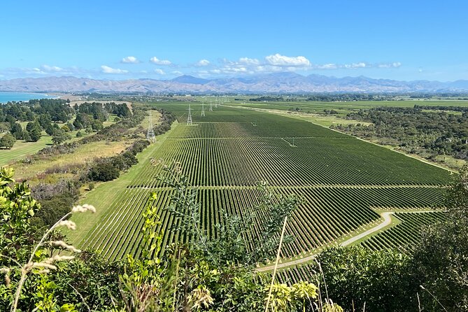 Marlborough Wine Region Tour from the Port of Picton - How much wine do you really get?