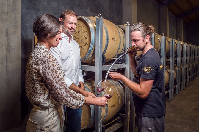 Marlborough Wine Tour - Afternoon of Cuisine & Wine 4hrs - Moving between the cellar doors