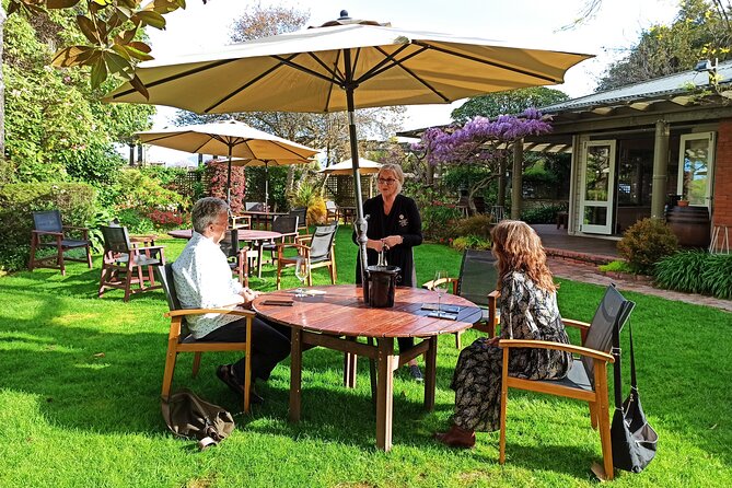 Marlborough Wine Tour - Afternoon Sippers of Wine Only 4hrs - The guide can make or break the afternoon