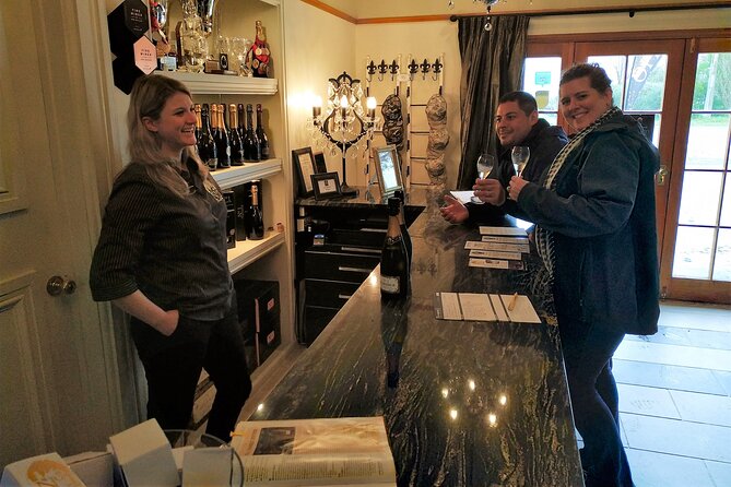 Marlborough Wine Tour - Afternoon Sippers of Wine Only 4hrs - How to get the most from the tasting