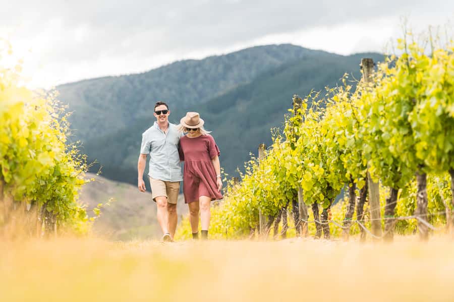 Marlborough: Wineries Visit and Tasting Session - Wine tasting with a guide who knows the area