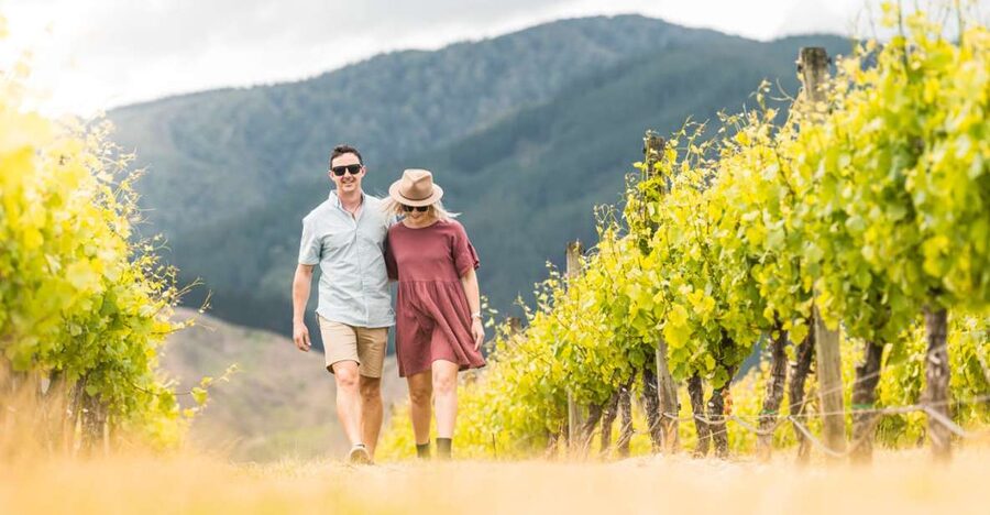 Marlborough: Wineries Visit and Tasting Session - Budgeting $104 for the experience