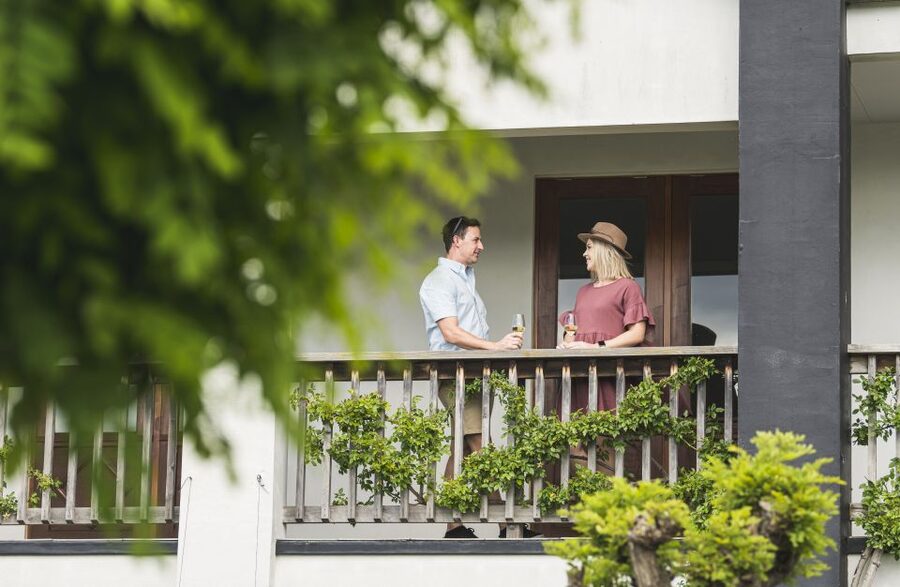 Marlborough: Wineries Visit and Tasting Session - The chocolate stop and other small extras